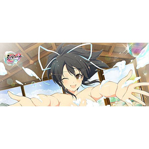 シノビマスター 閃乱カグラ NEW LINK B2タペストリー(飛鳥/シノビ温泉)