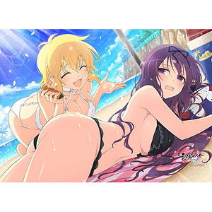 シノビマスター 閃乱カグラ NEW LINK B2タペストリー(紫/水着)