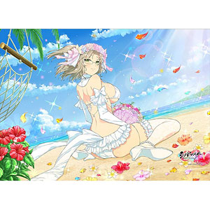シノビマスター 閃乱カグラ NEW LINK B2タペストリー(忌夢/Wedding)