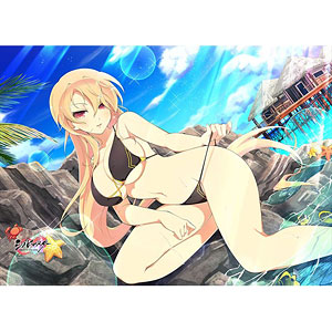 シノビマスター 閃乱カグラ NEW LINK B2タペストリー(総司/水着)