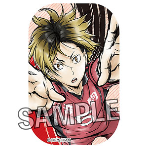 駿河屋 -<中古>岩泉一 「ハイキュー!! 烏野高校 VS 白鳥沢学園