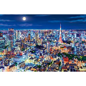 ジグソーパズル 光るパズル 煌めく東京の夜-東京 1000ピース(12-514S)
