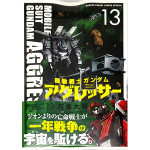 機動戦士ガンダム アグレッサー 14 (書籍)[小学館]《在庫切れ》