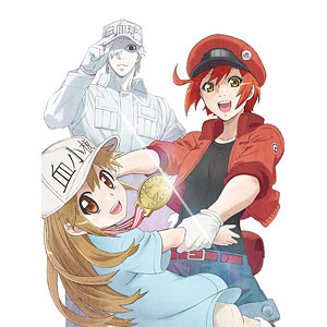 DVD はたらく細胞！！ 1 完全生産限定版