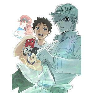 DVD はたらく細胞！！ 3 通常版