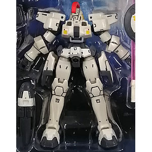 希少メタルクリア特別版HG W-GUNDAM ZERO & D-HELL セット 希少メタルクリア特別版HG W-GUNDAM ZERO & D-HELL セット