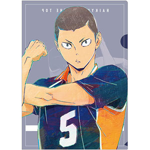 ハイキュー！！ TO THE TOP 田中龍之介 Ani-Art 第4弾 クリアファイル