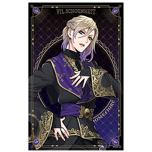 ディズニー ツイステッドワンダーランド A2変形タペストリー2 (14)ヴィル・シェーンハイト