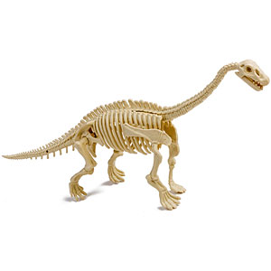 恐竜化石発掘モデル ディプロドクス プラモデル