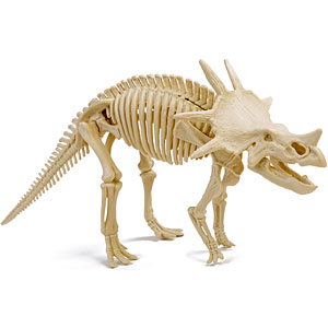 恐竜化石発掘モデル スティラコサウルス プラモデル