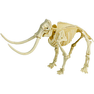 恐竜化石発掘モデル マンモス プラモデル