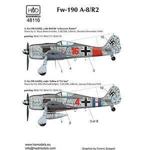 1/48 WW.II ドイツ空軍 フォッケウルフ Fw190 A-8/R2 デカール