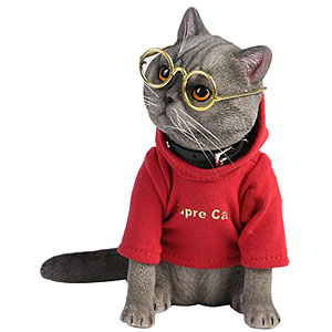 1/3 アメリカンショートヘア C