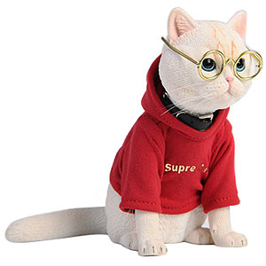 1/3 アメリカンショートヘア D