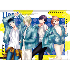 DYNAMIC CHORD A4マルチクロス apple-polisher[メディコス