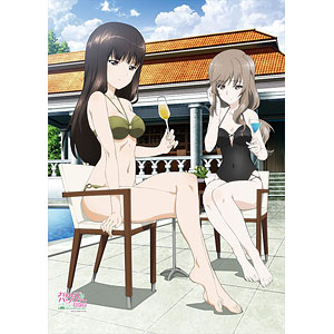 ガールズ＆パンツァー 最終章 西住しほ ミニチュア等身パネル 西住 しほ［大洗女子］｜ガールズ＆パンツァー最終章 公式サイト
