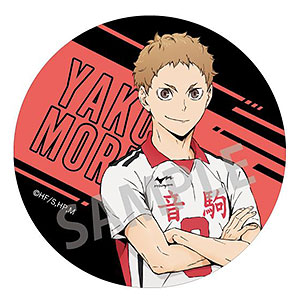ハイキュー！！ ホログラム缶バッジ 等身 日向翔陽[カミオ