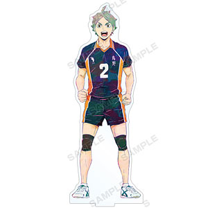 ハイキュー！！ TO THE TOP 菅原孝支 Ani-Art 第4弾 BIGアクリルスタンド