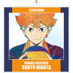 ハイキュー！！ TO THE TOP 日向翔陽 Ani-Art 第4弾 BIGアクリルキーホルダー