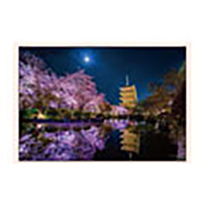 ジグソーパズル コンパクトピース 月夜に咲く(京都) 1000ピース (13-01)