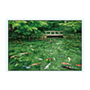 ジグソーパズル コンパクトピース 踊る色彩モネの池(岐阜) 500ピース (35-27)