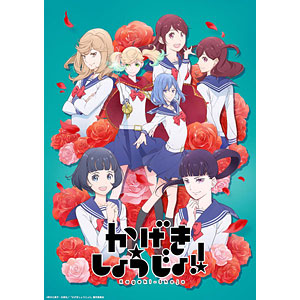 高価値 BD/TVアニメ/TVアニメ「かげきしょうじょ!!」第2巻(Blu-ray