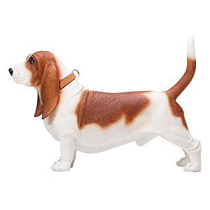 1/6 バセット ハウンド C