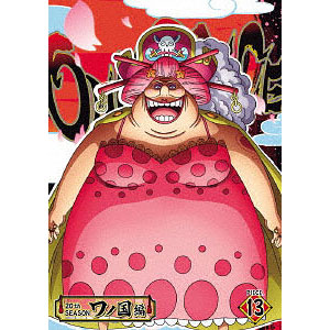 DVD ONE PIECE ワンピース 20THシーズン ワノ国編 piece.13