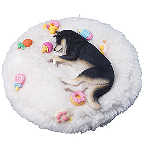 1/6 眠る柴犬 B2