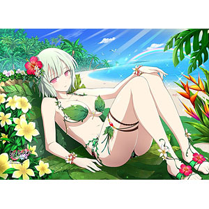 シノビマスター 閃乱カグラ NEW LINK B2タペストリー(飛鳥/水着2019