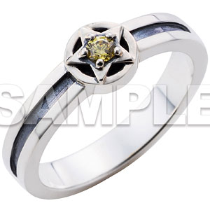 美少年探偵団 足利飆太 イメージリング 9号