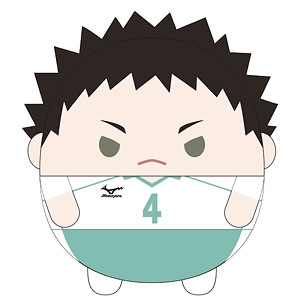 ハイキュー 国見英 ふわコロりん Msize 4 制服 ハイキュー！！ ふわコロりんBIG4 C 金田一勇太郎[タカラトミー