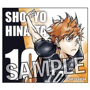 ハイキュー！！ 額縁バッジ 激闘！！ver. 日向翔陽