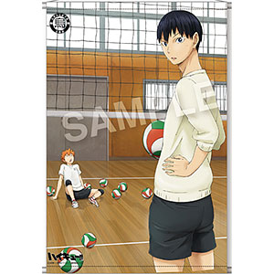 ハイキュー!! HAIKYU!! 烏野高校排球部 日向翔陽 影山飛雄 月島