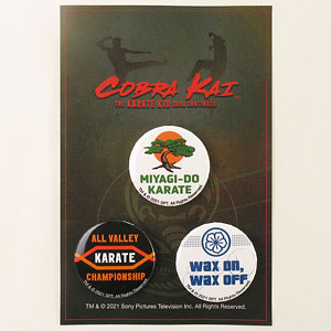 ✨海外限定✨タートルズ×コブラ会 4種コンプリートフィギュアセット