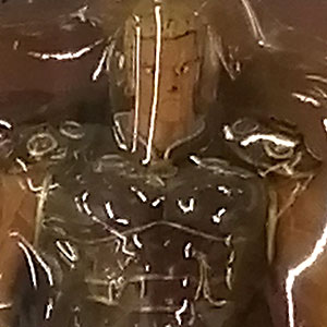 検索結果]-amiami.jp-あみあみオンライン本店-