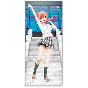 やはり俺の青春ラブコメはまちがっている。完 描き下ろし BIG