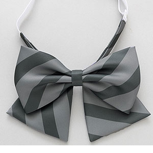 【前入金 銀行振込のみ】スローループ 高校女子制服リボン Free