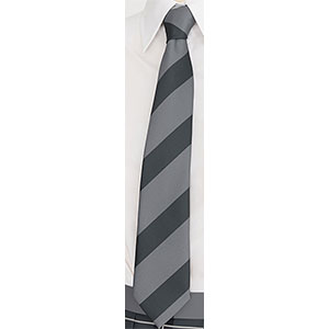 【前入金 銀行振込のみ】スローループ 高校女子制服ネクタイ Free