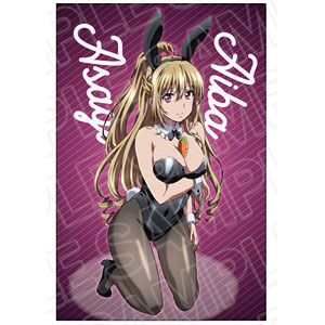 クッション・抱き枕・本体　姫柊雪菜 特大クッション 雨宿りver. 「ストライク・ザ・ブラッドFINAL×THEキャラSHOP」 駿河屋 - 【買取】藍羽浅葱 特大クッション 雨宿りver
