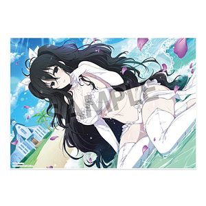 シノビマスター 閃乱カグラ NEW LINK ビジュアルアクリルプレート 雪不帰(WD2020)