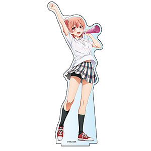 やはり俺の青春ラブコメはまちがっている。完 BIGアクリル
