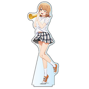 やはり俺の青春ラブコメはまちがっている。完 BIGアクリル