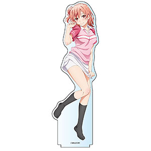 やはり俺の青春ラブコメはまちがっている。完 BIGアクリル やはり俺の青春ラブコメはまちがっている。完 BIGアクリル