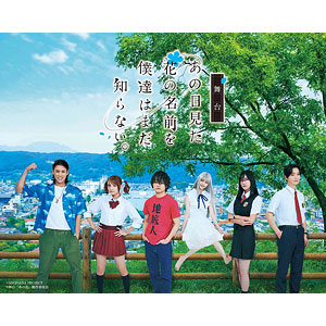 DVD 舞台「あの日見た花の名前を僕達はまだ知らない。」 通常版