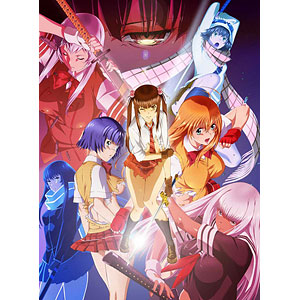 BD 真・一騎当千 (Blu-ray Disc)