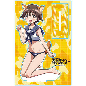 宮藤芳佳 軍曹 サイン 宮藤芳佳 軍曹 サイン Amazon.co.jp: カオス chaos ストライク