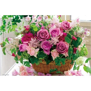 ジグソーパズル グレイス フルール 1000マイクロピース (M81-647)