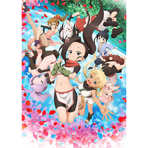 DVD くノ一ツバキの胸の内 其の四 完全生産限定版[アニプレックス