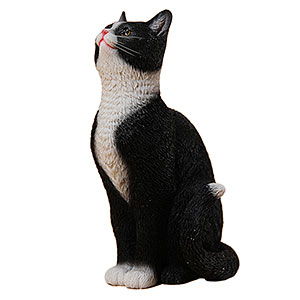 フィギュア　猫の物語 1/6 ジオラマ 1/6 猫の物語 見上げる猫 D[JXKスタジオ]《在庫切れ》